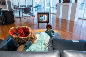 Copyright Emily J Casella 2016